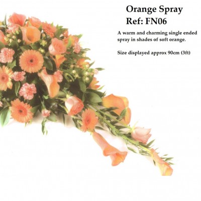 Orange Spray Ref:FN06