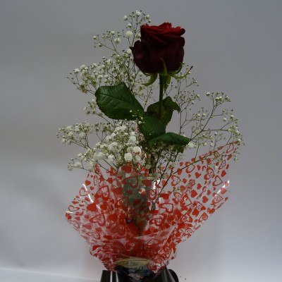 Single Rose in a Vase 