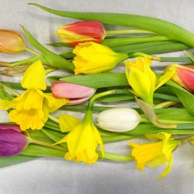 Mothers Day Sunday 15th March